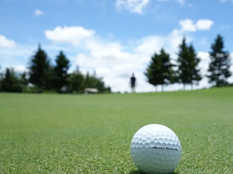bola de golf y golfista