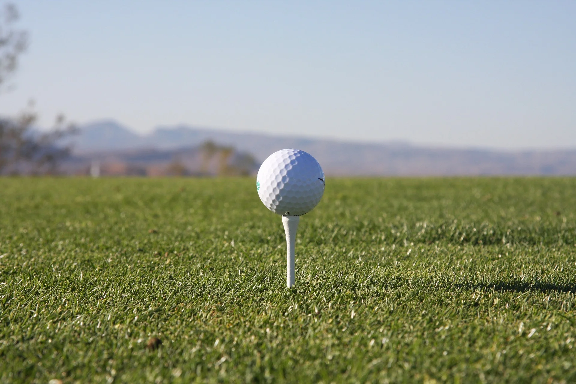 Golf 4 Pax